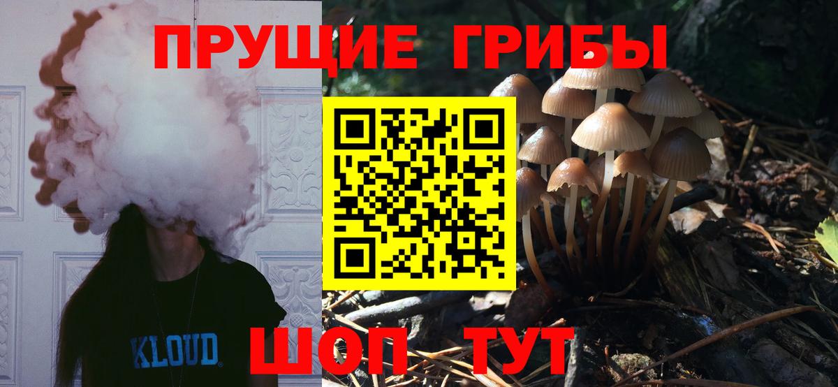 Псилоцибиновые грибы Psilocybe  Вход с VPN  купить наркотик  Ессентуки  Галлюциногенные грибы мухоморы 
